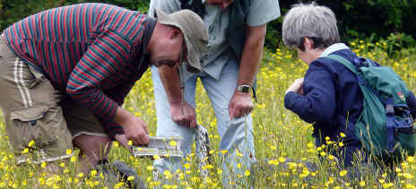 Recording in the field