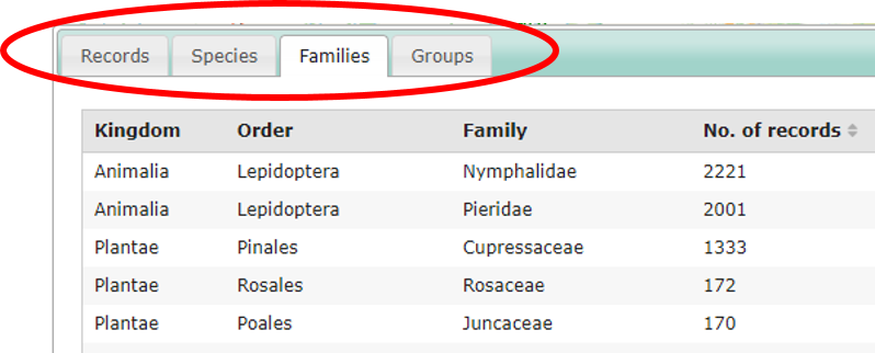 Grid tabs