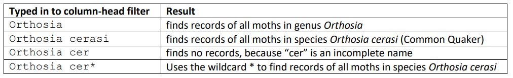 Column heading filter options