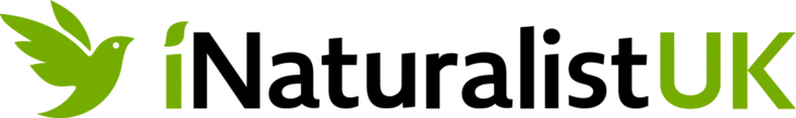 "iNaturalist UK logo"