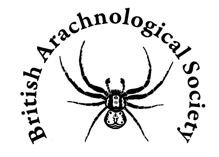 BAS logo